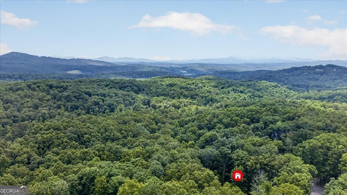 648 Stuart Mountain Road Mineral Bluff - Photo 70