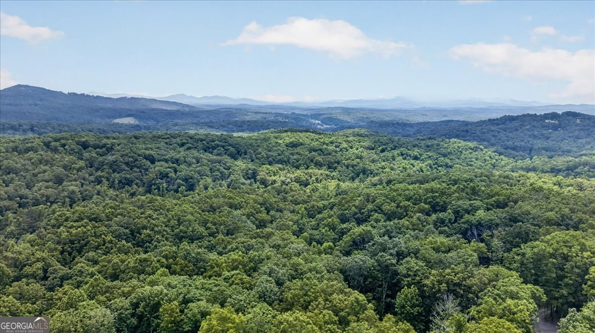 648 Stuart Mountain Road Mineral Bluff - Photo 71