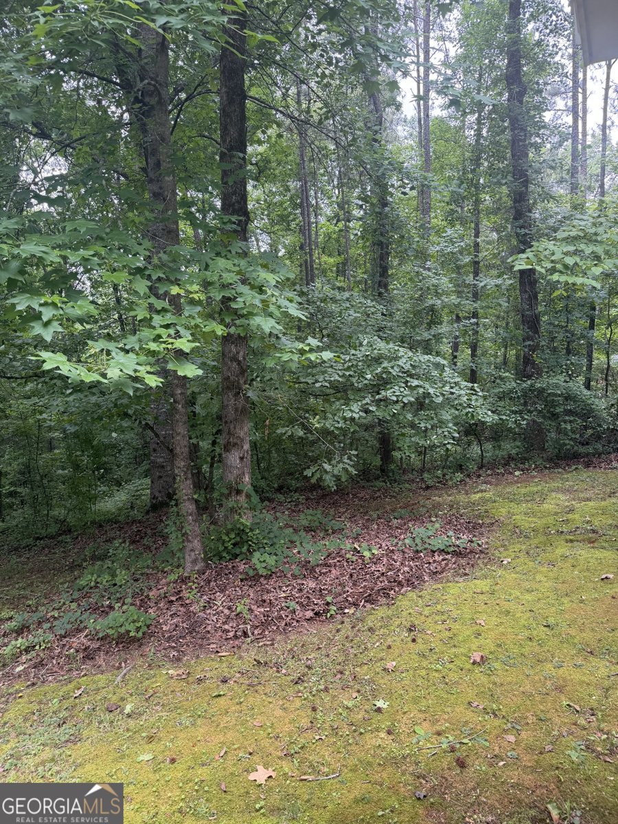 406 Covered Bridge Road Covington - Photo 6