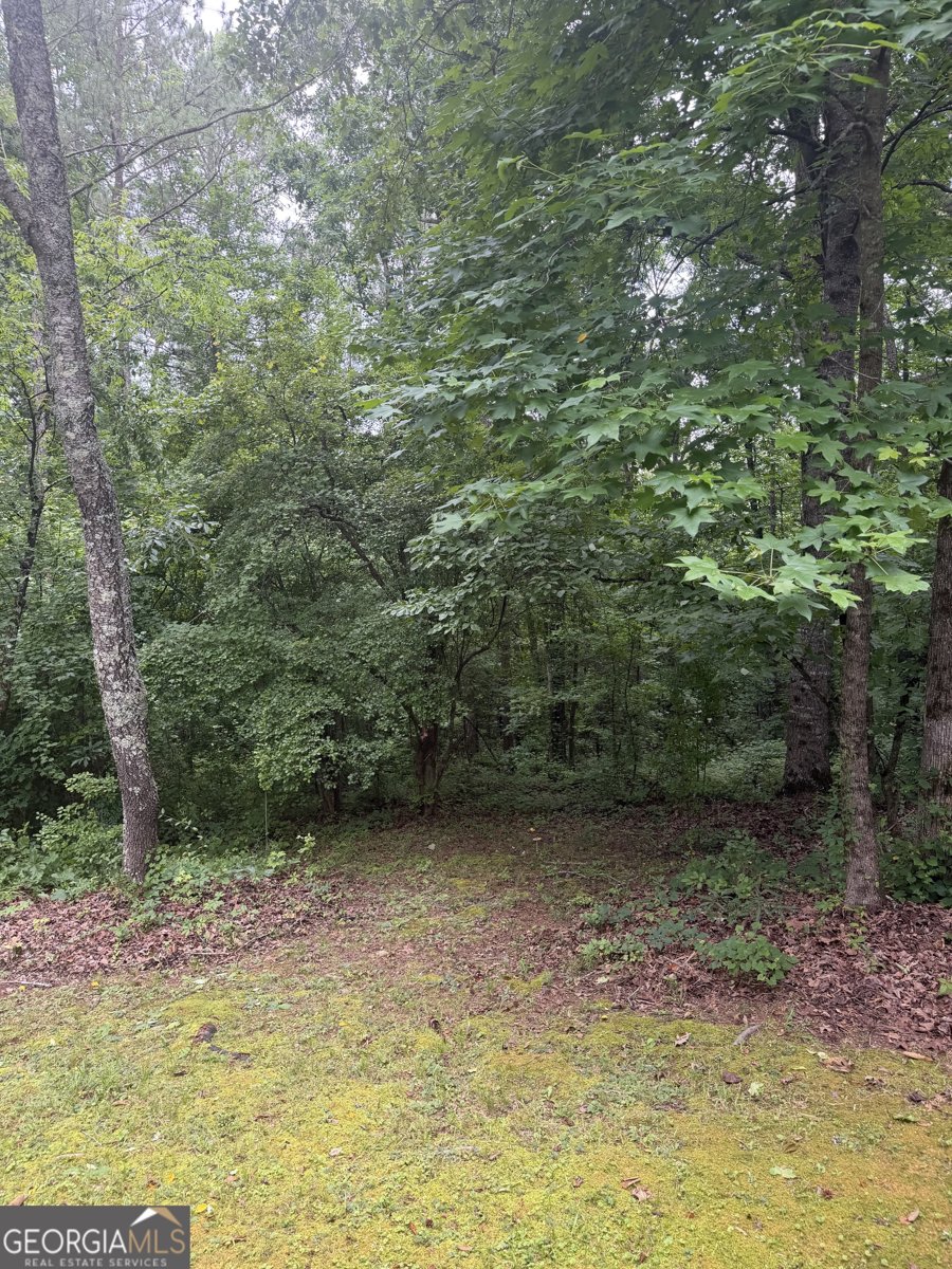 406 Covered Bridge Road Covington - Photo 7