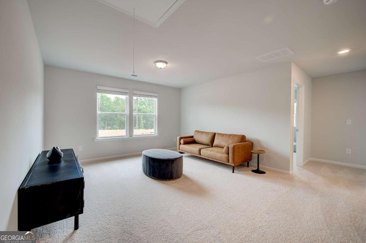 396 Enchanted Springs Court Mcdonough - Photo 23