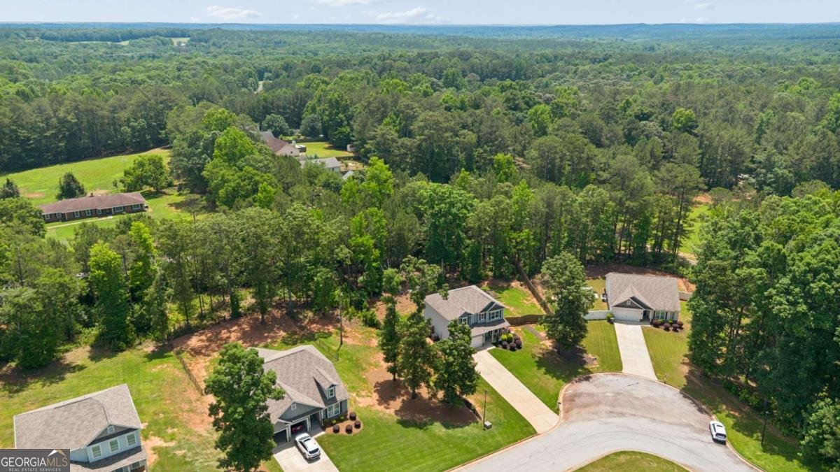 190 Tarpley Way Covington - Photo 45