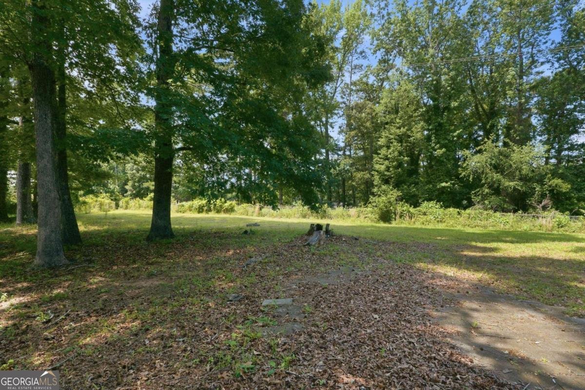 2852 Port Royal Lane Decatur - Photo 29