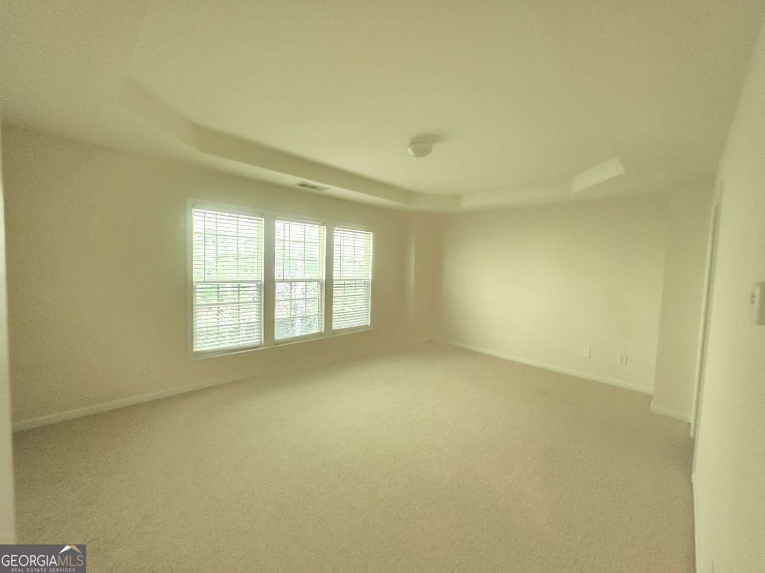 2010 Hailston Drive Duluth - Photo 10