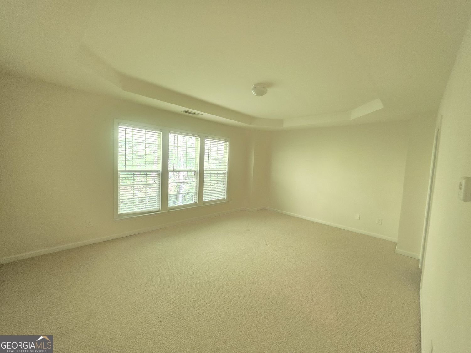 2010 Hailston Drive Duluth - Photo 11
