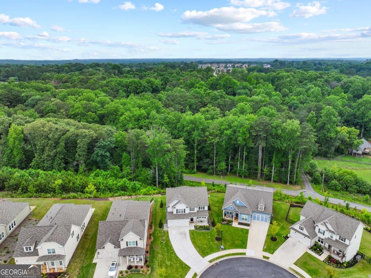 163 Spaulding Lane Woodstock - Photo 38