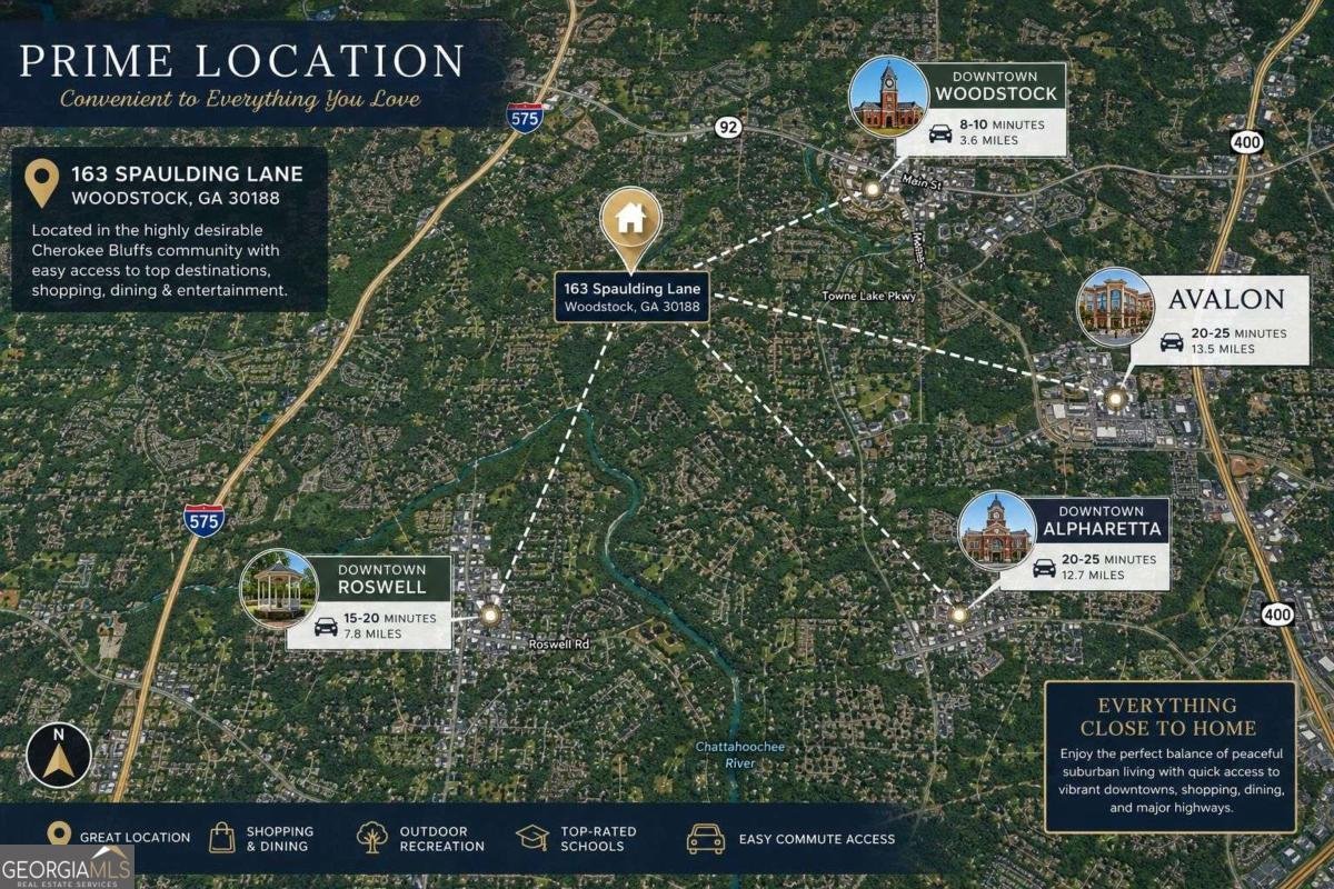 163 Spaulding Lane Woodstock - Photo 44