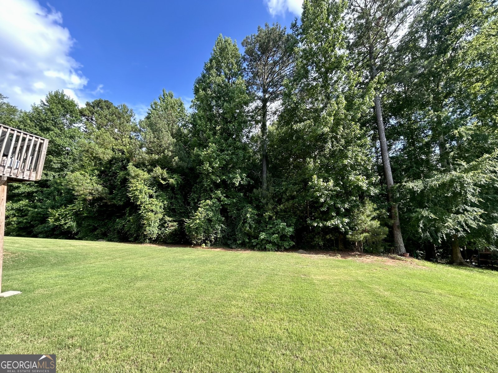 2420 Brynlyn Woods Drive Conyers - Photo 35