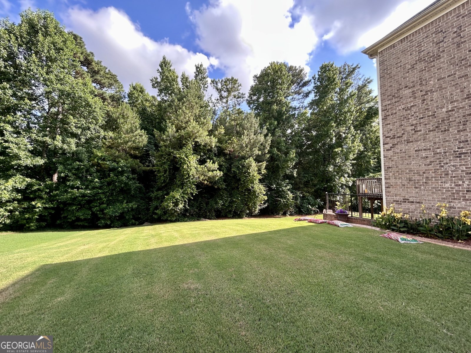 2420 Brynlyn Woods Drive Conyers - Photo 36