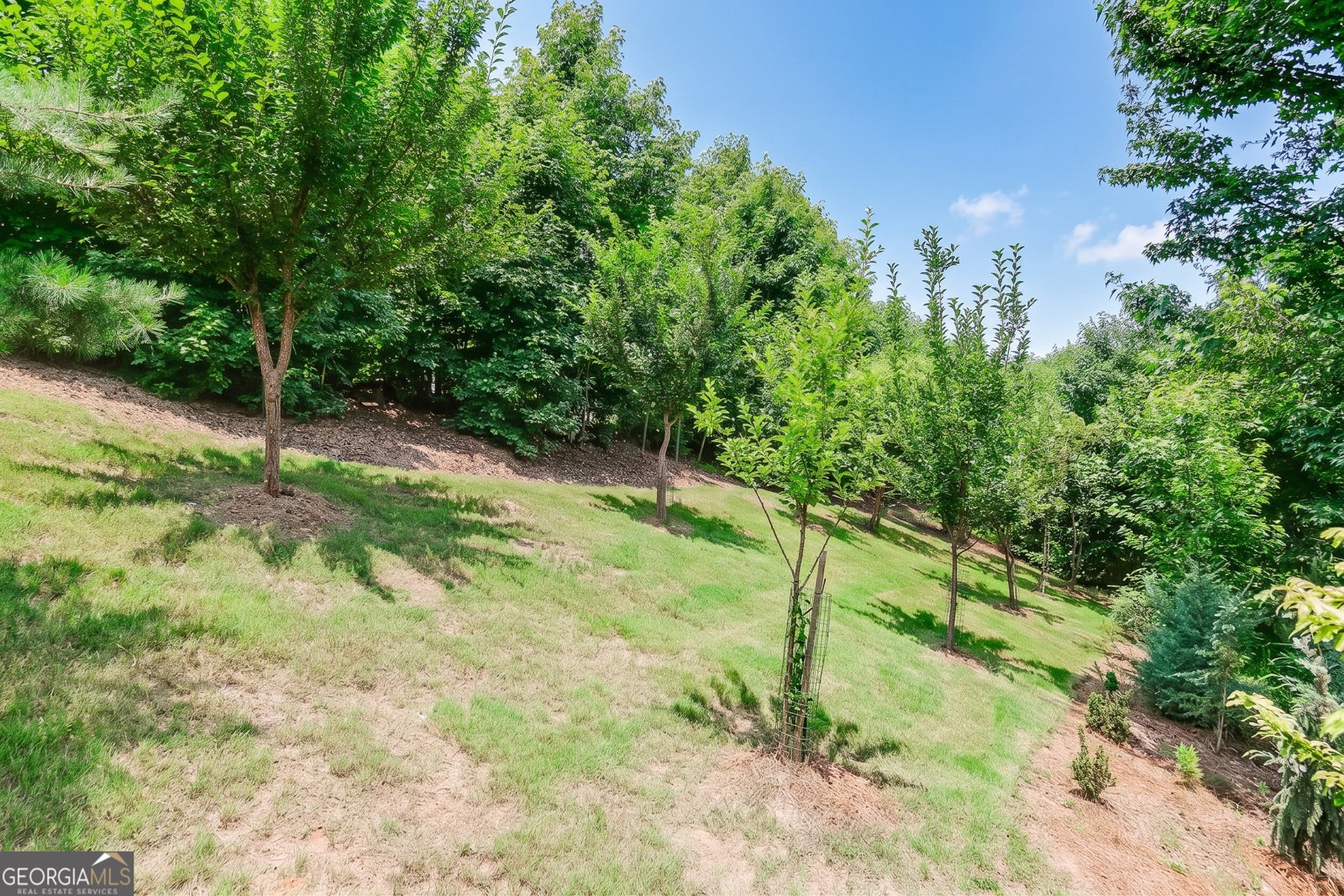 3536 Dockside Shores Drive Gainesville - Photo 54