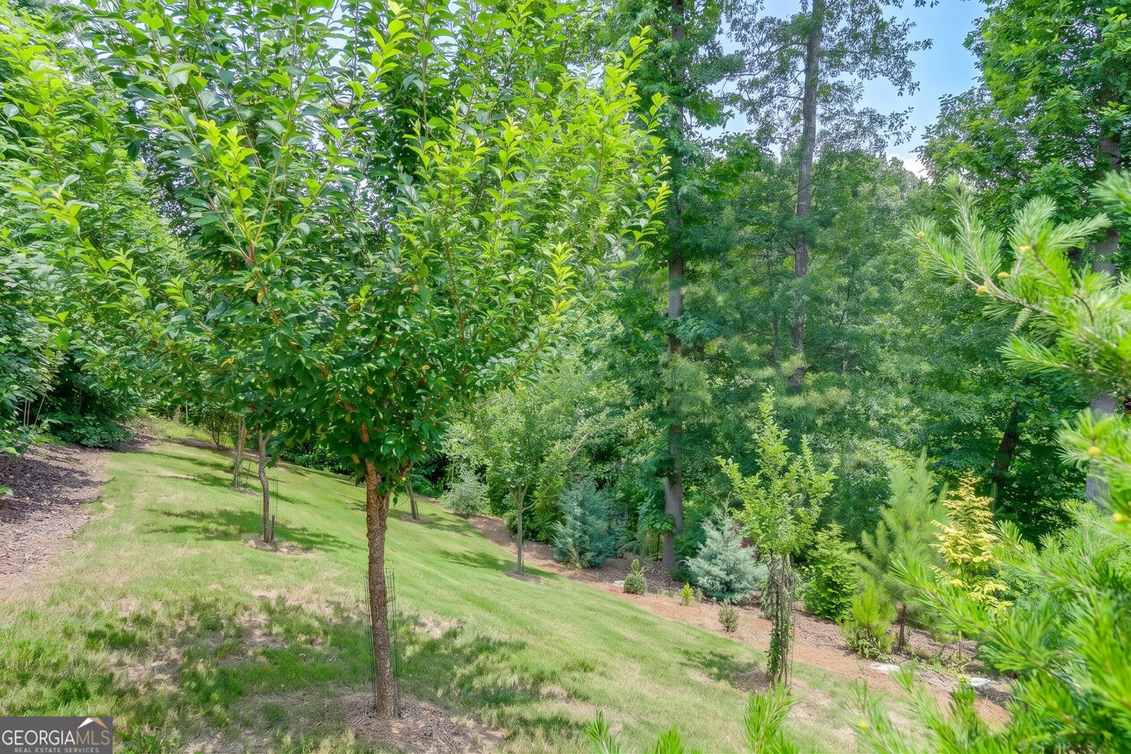 3536 Dockside Shores Drive Gainesville - Photo 55