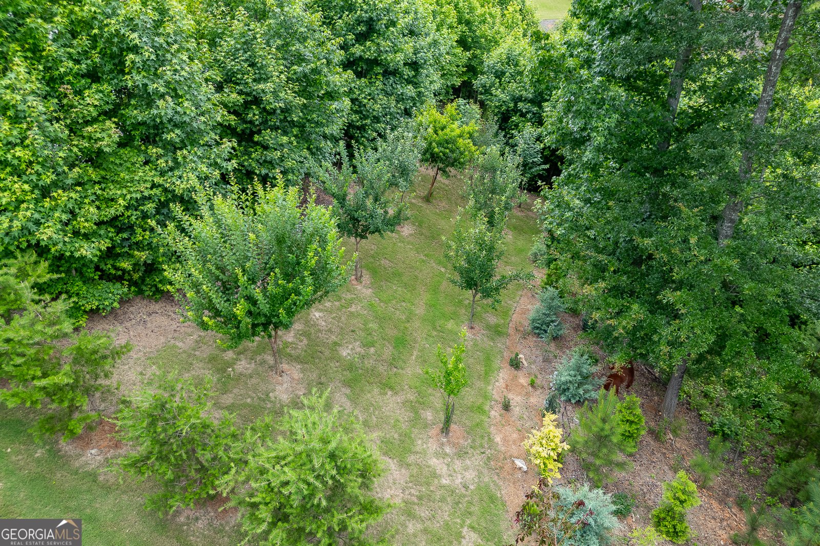 3536 Dockside Shores Drive Gainesville - Photo 60