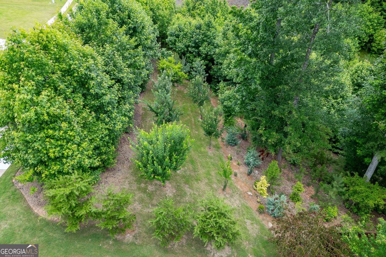 3536 Dockside Shores Drive Gainesville - Photo 61