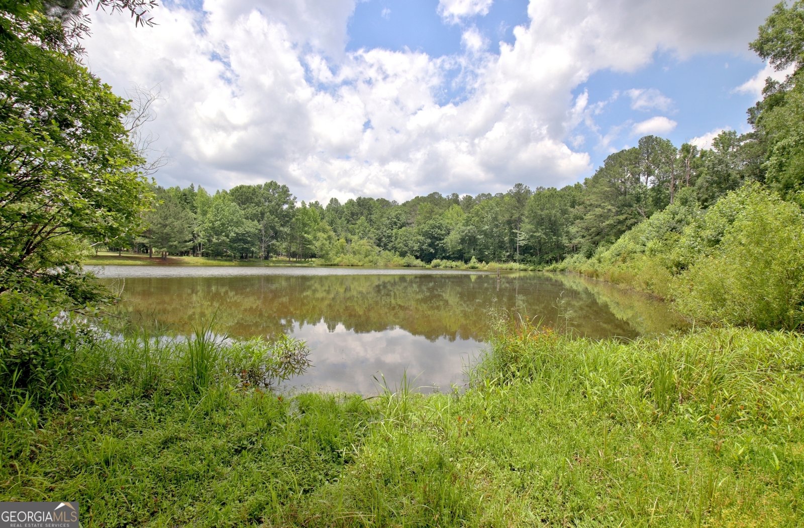 365 Swains Drive Peachtree City - Photo 102