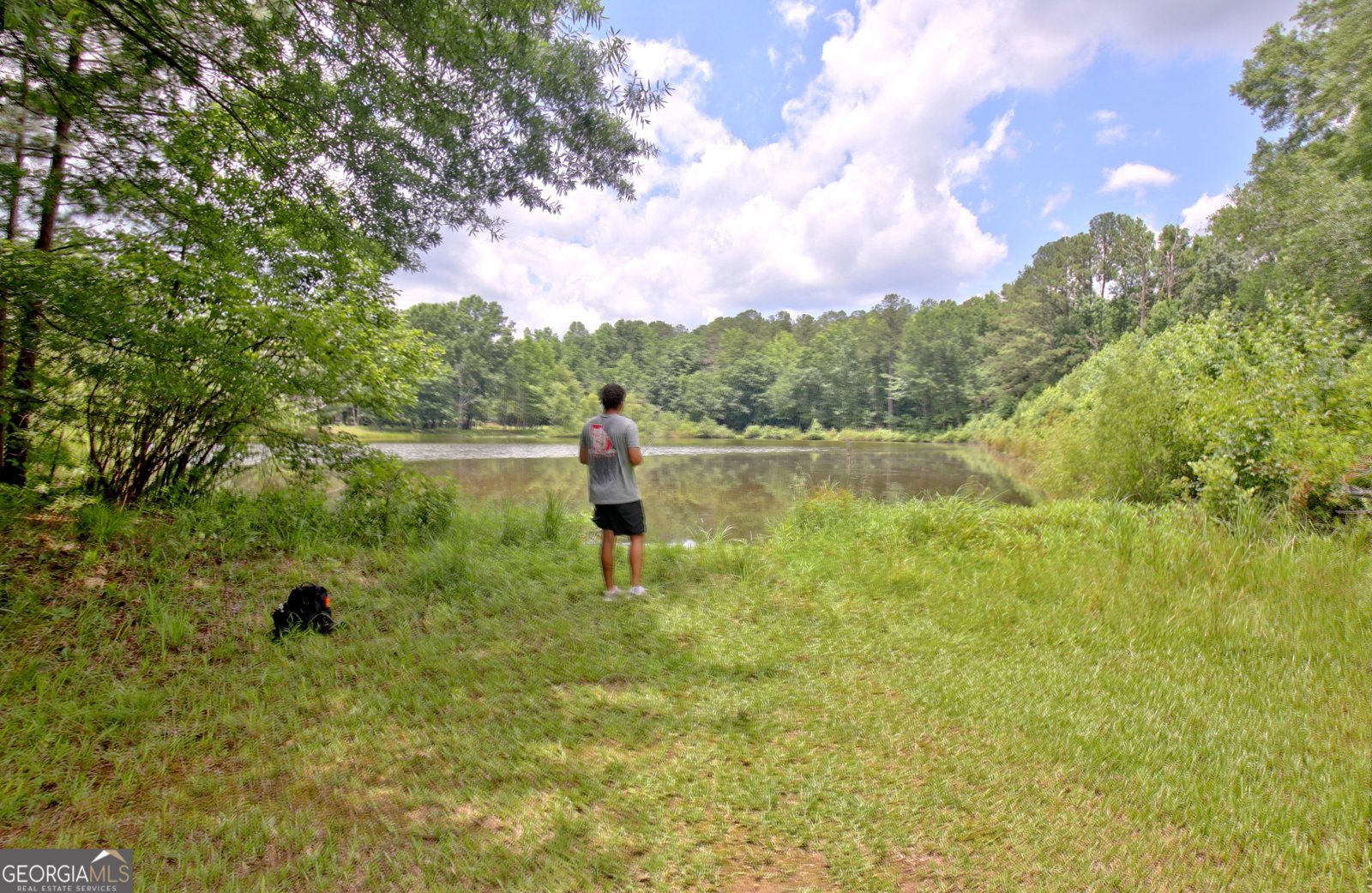 365 Swains Drive Peachtree City - Photo 103