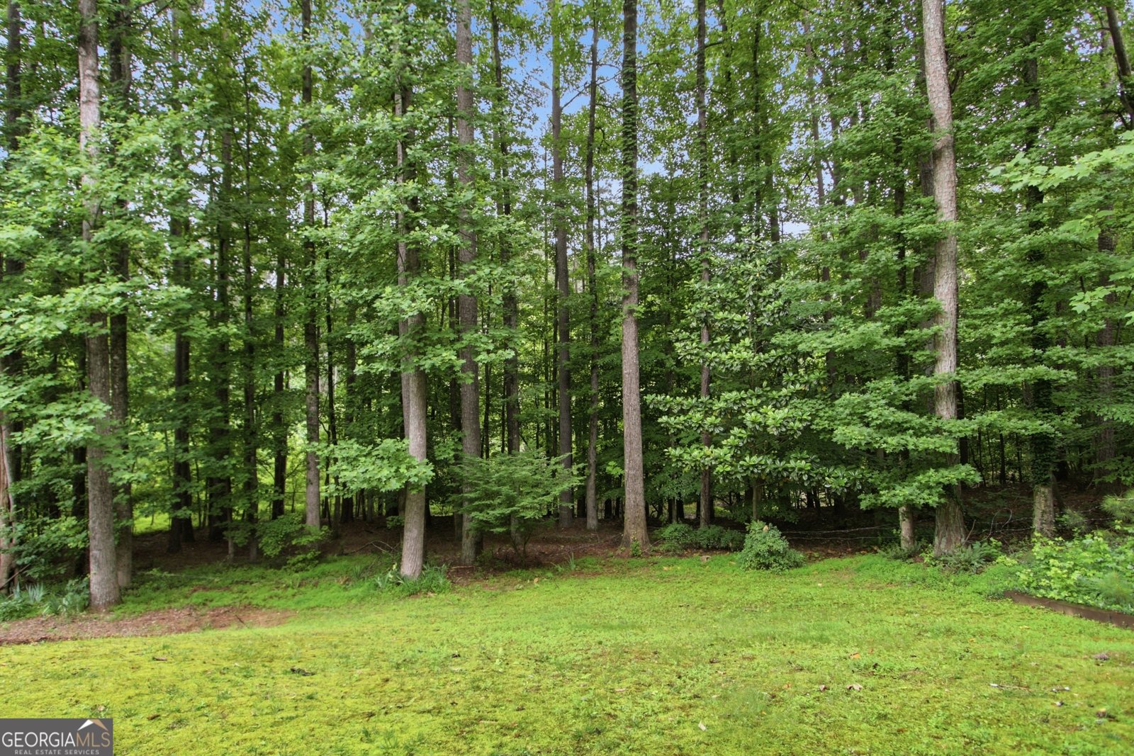 11715 Dunhill Place Drive Johns Creek - Photo 44