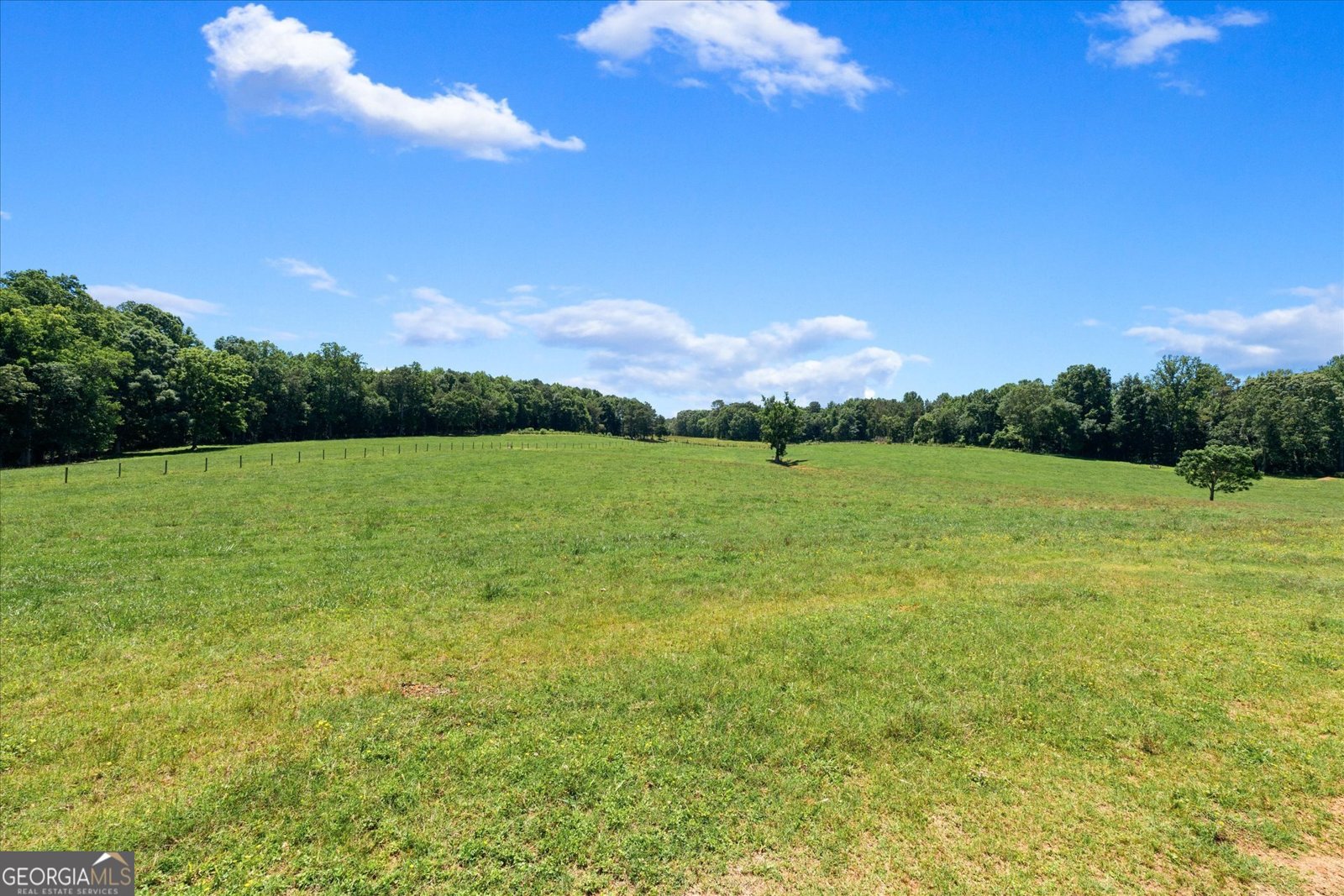 2219 Oak Grove Church Road Carrollton - Photo 79