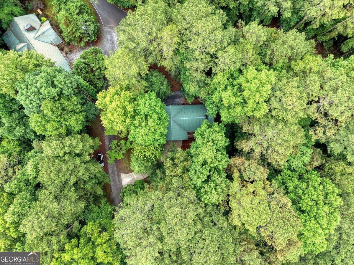 9 Mystic Court Ellijay - Photo 41