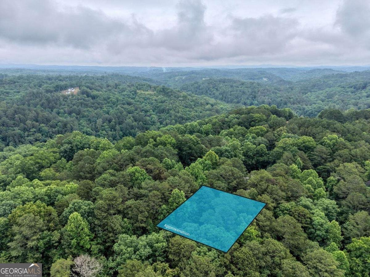 9 Mystic Court Ellijay - Photo 42
