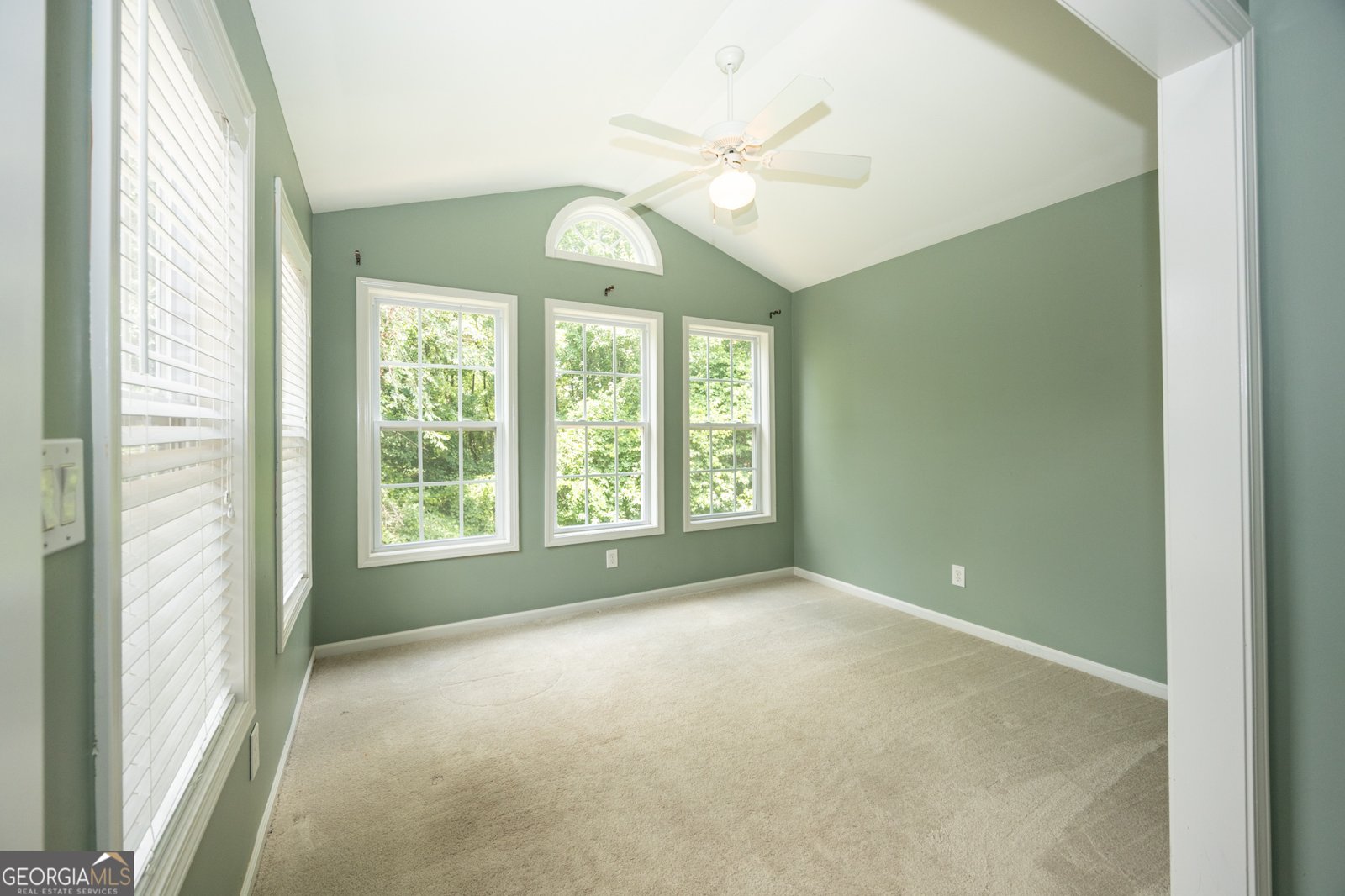 38 American Walk Peachtree City - Photo 54