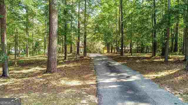 334 McCurry Road Stockbridge - Photo 109