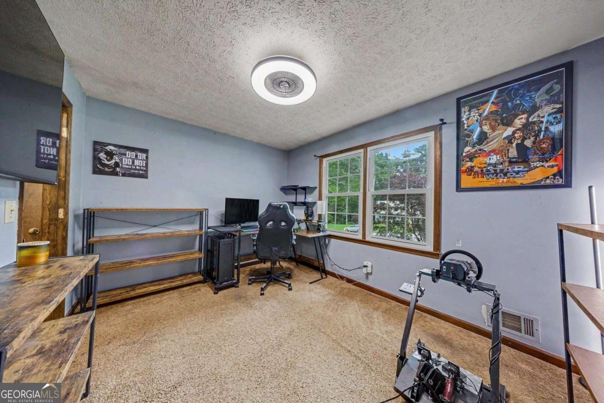 313 West Lane Woodstock - Photo 24