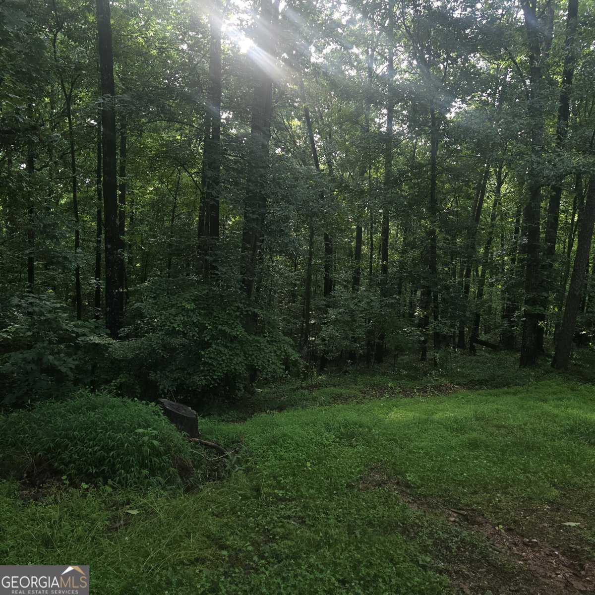 585 Lee Drive Acworth - Photo 35