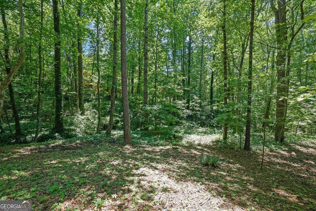 1314 Shadowood Court Marietta - Photo 43