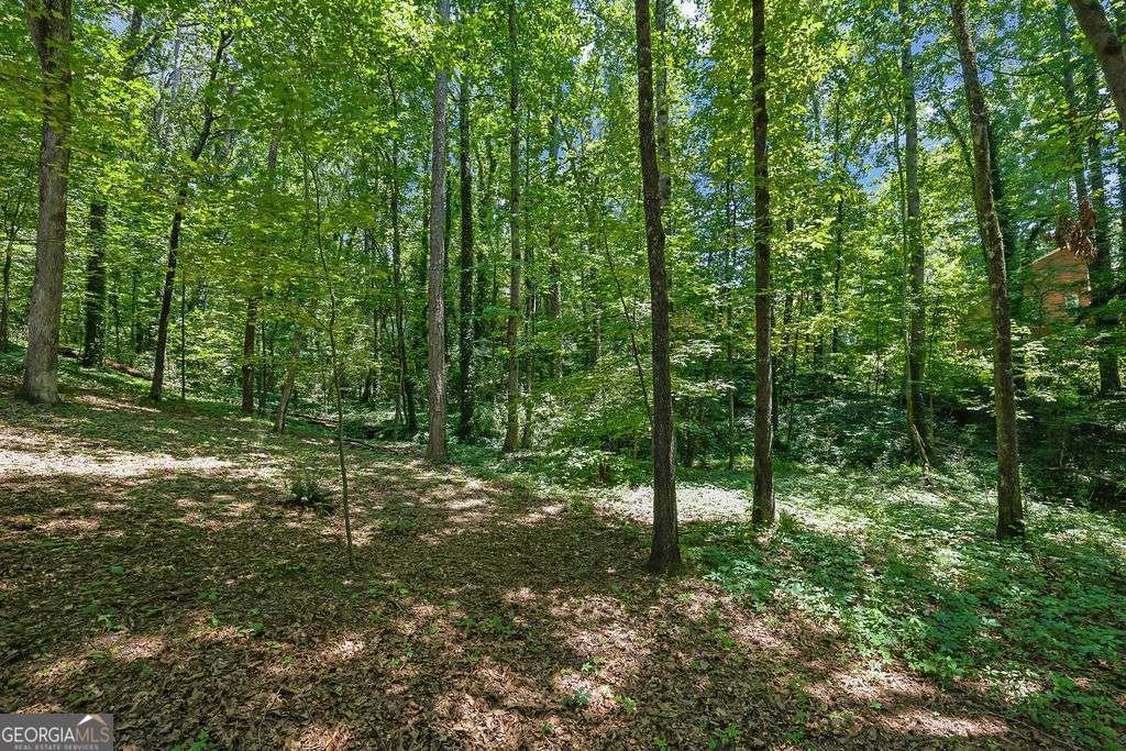 1314 Shadowood Court Marietta - Photo 47