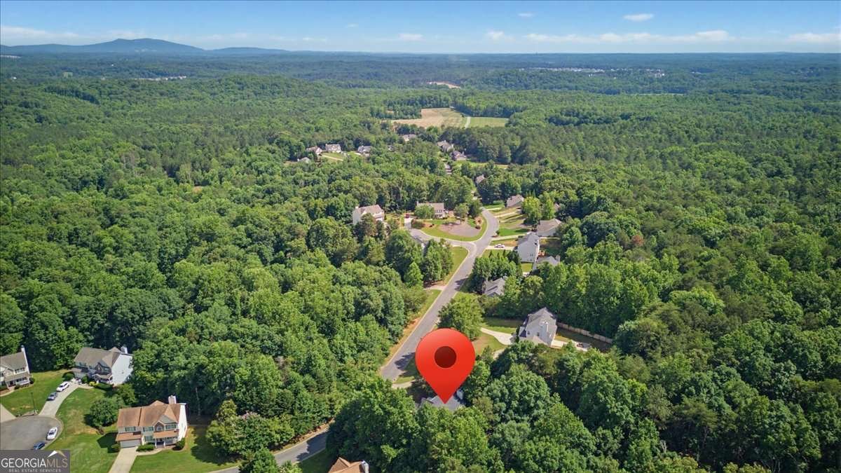 9055 Montclair Hills Drive Cumming - Photo 53