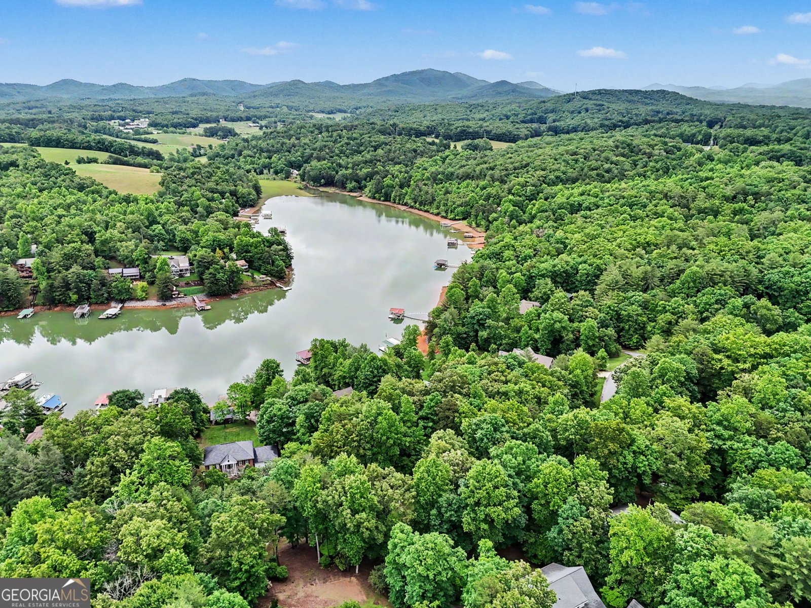 15 Dale Drive Blairsville - Photo 58
