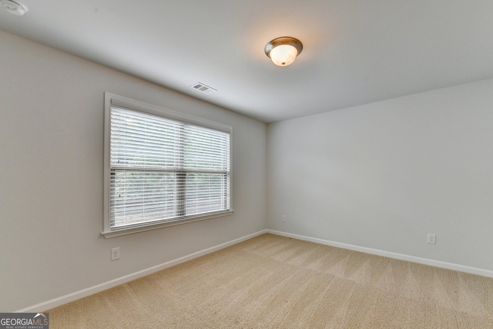 1055 Grove Valley Drive Cumming - Photo 53