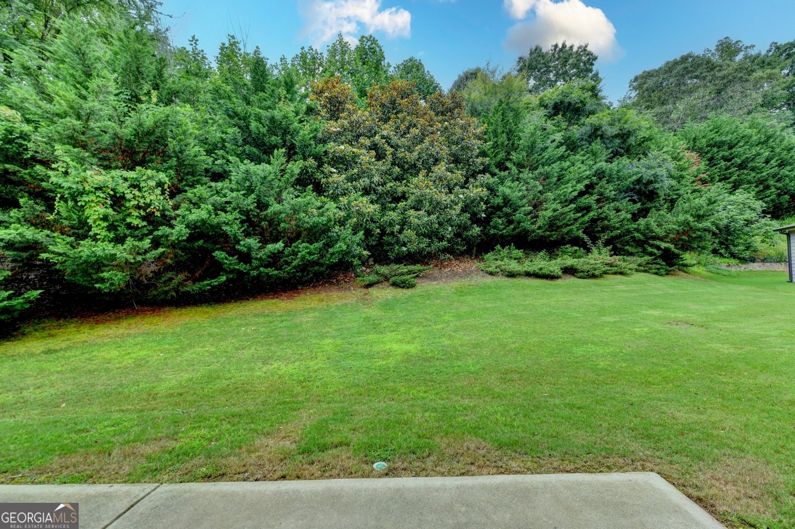 1055 Grove Valley Drive Cumming - Photo 59
