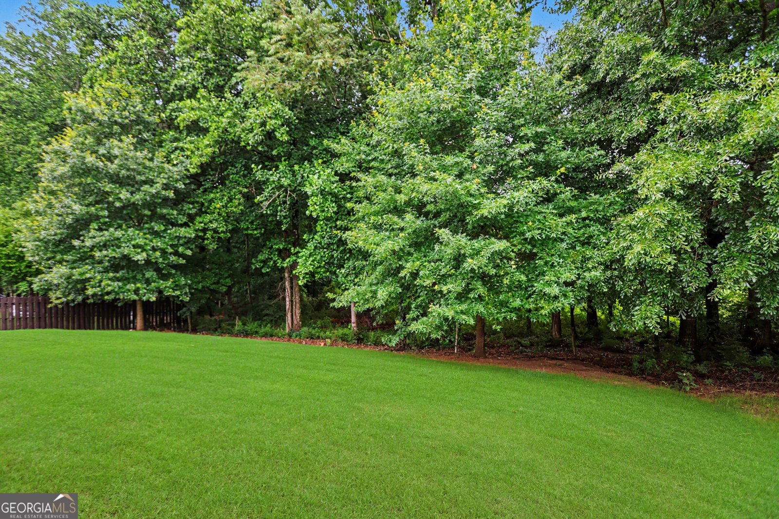2703 Bloom Circle Dacula - Photo 33