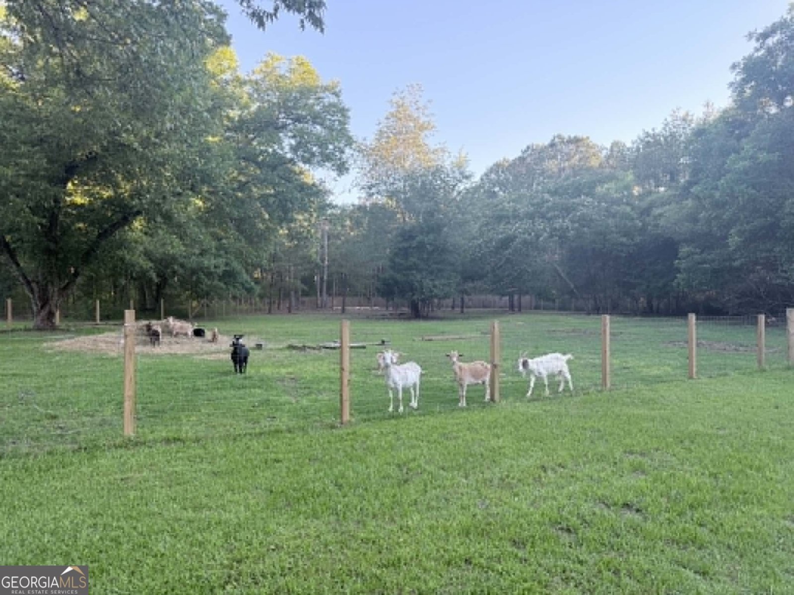 417 Plantation Road Warner Robins - Photo 18