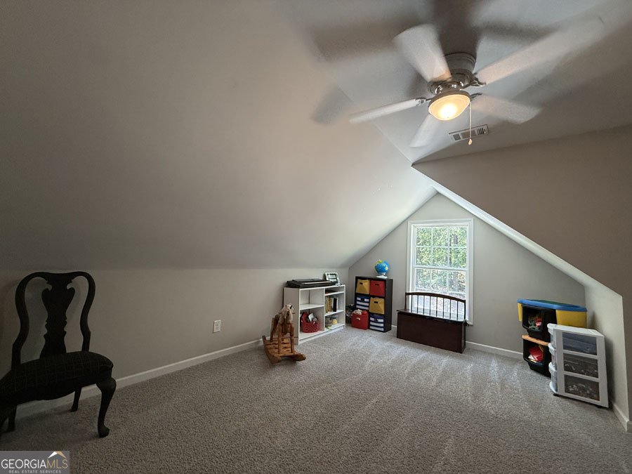 35 Riverbend Road Lavonia - Photo 24