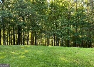 265 Neely Road Lagrange - Photo 55
