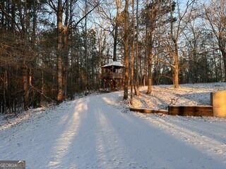 265 Neely Road Lagrange - Photo 58