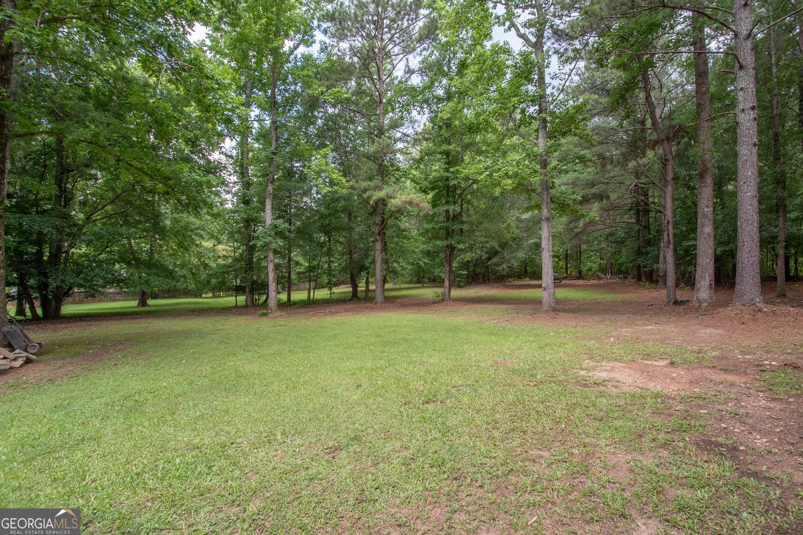 195 Pinewood Drive Senoia - Photo 24