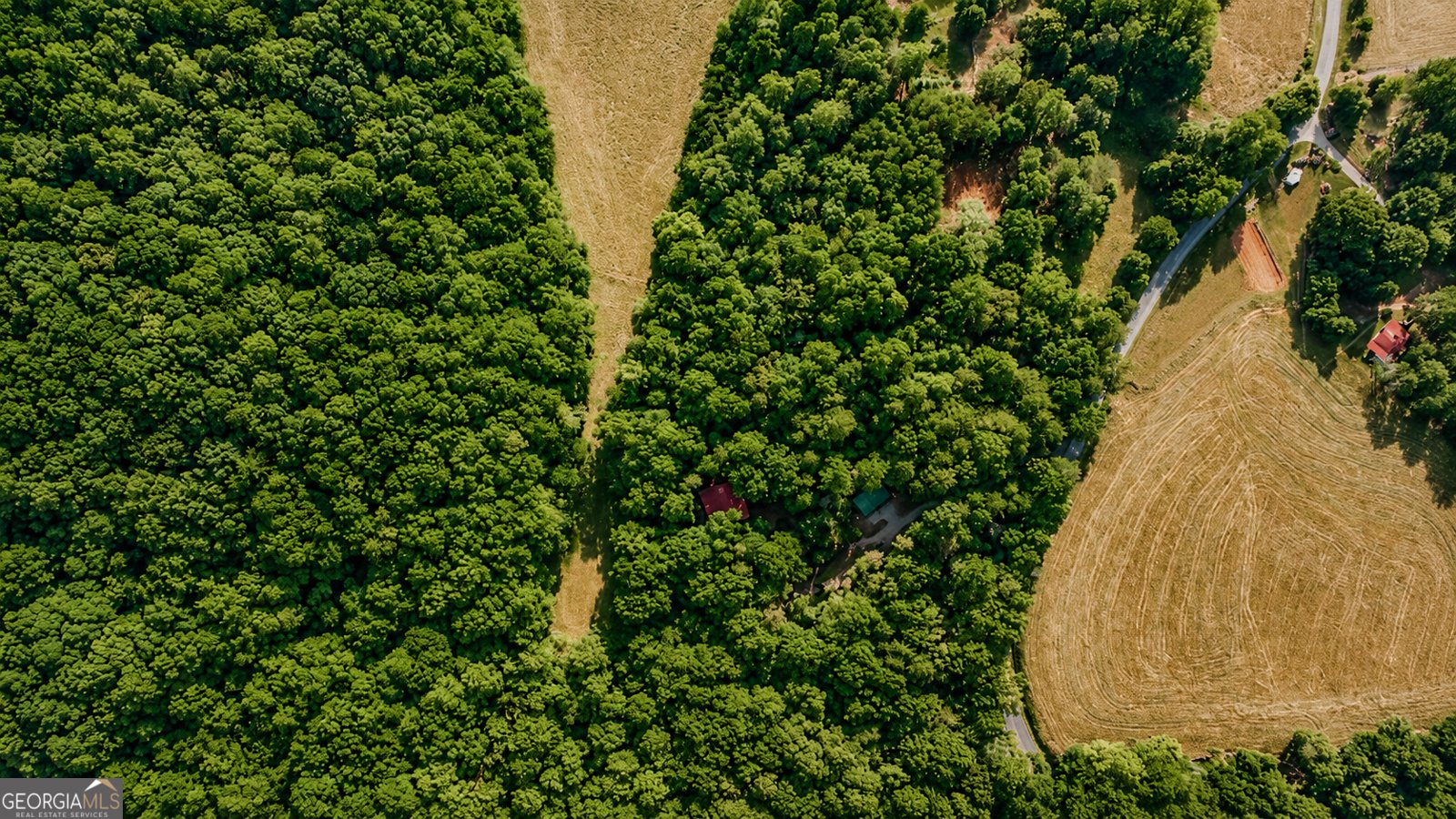 1564 Rackley Road Ellijay - Photo 13