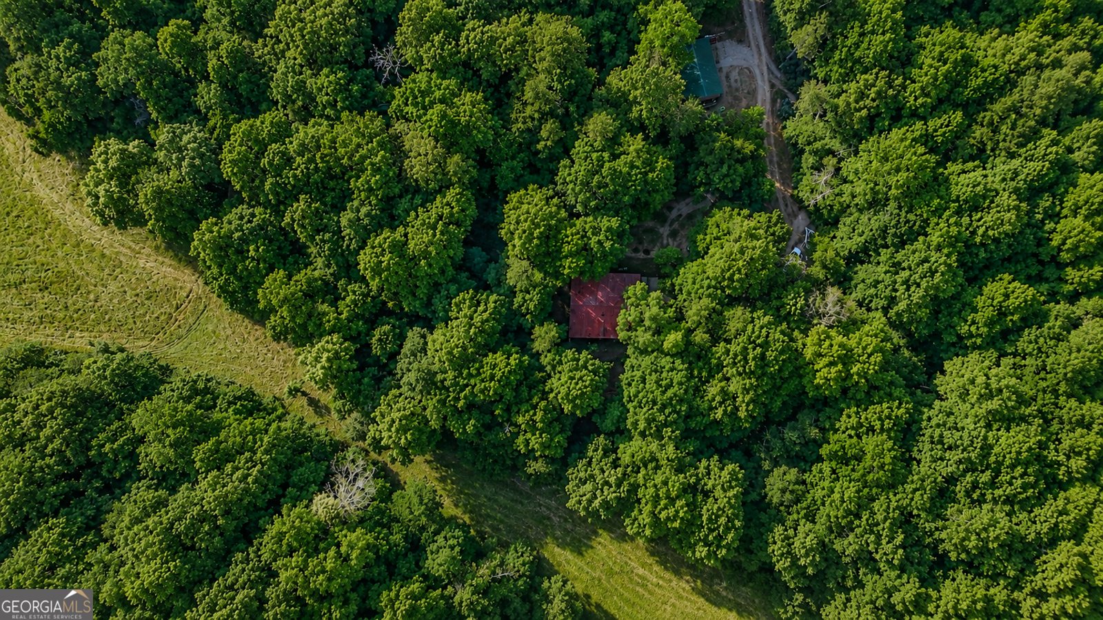 1564 Rackley Road Ellijay - Photo 61