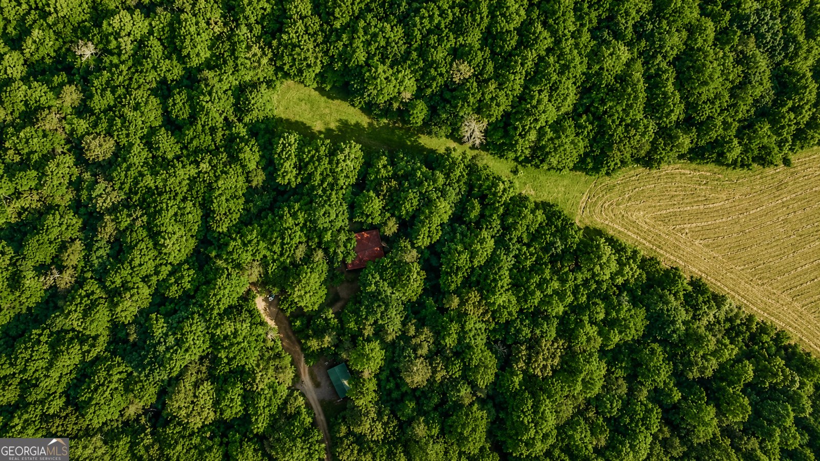 1564 Rackley Road Ellijay - Photo 63