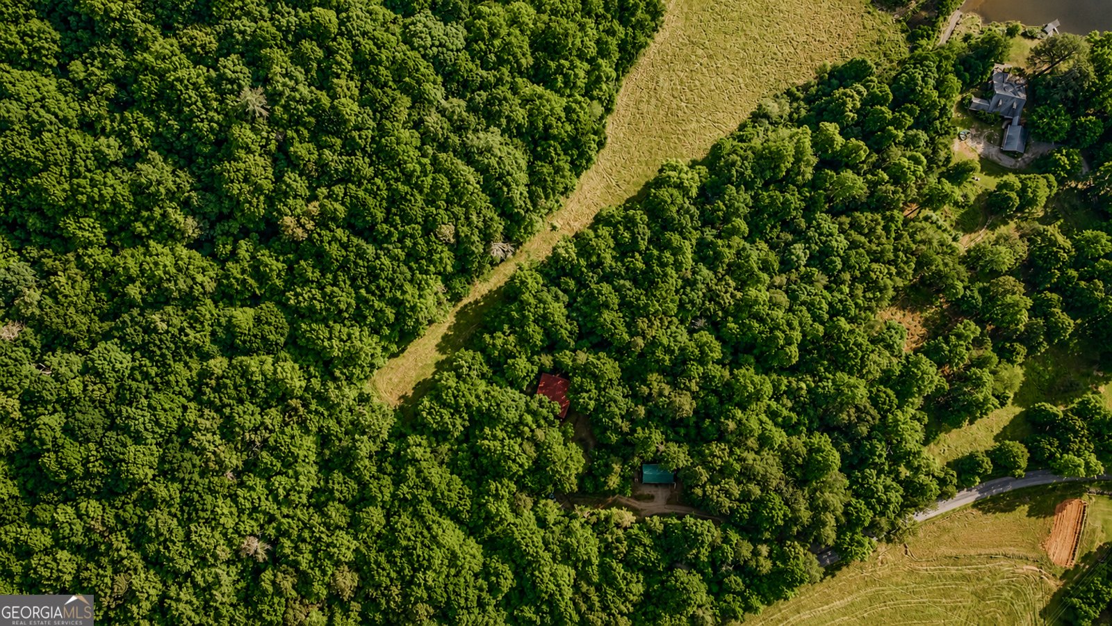 1564 Rackley Road Ellijay - Photo 67