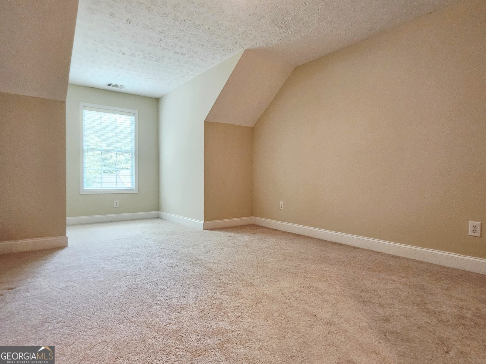 107 Cameron Pointe Drive Lagrange - Photo 31