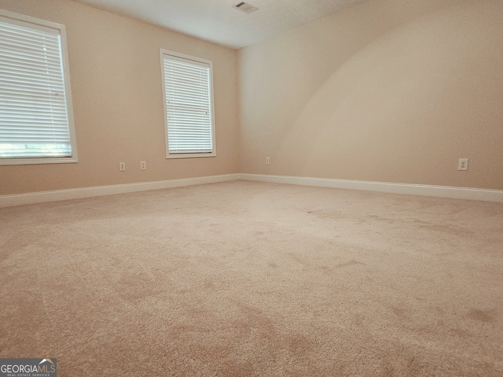 107 Cameron Pointe Drive Lagrange - Photo 36