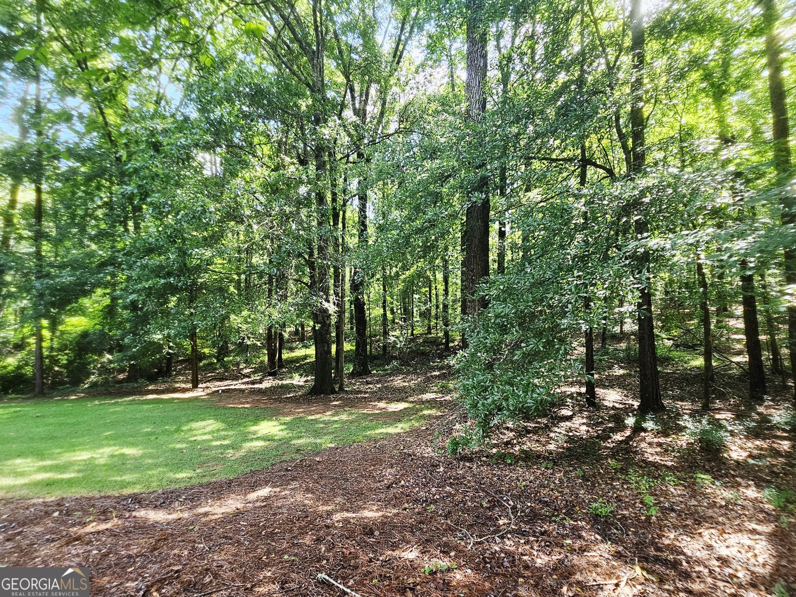 107 Cameron Pointe Drive Lagrange - Photo 44