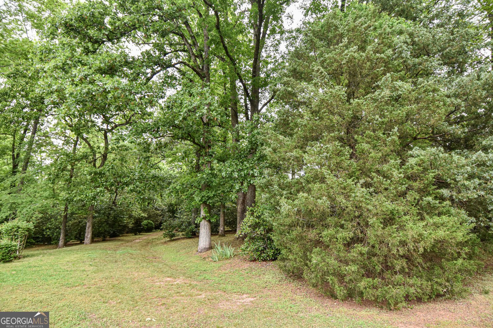 120 Mill Race Road Thomaston - Photo 88