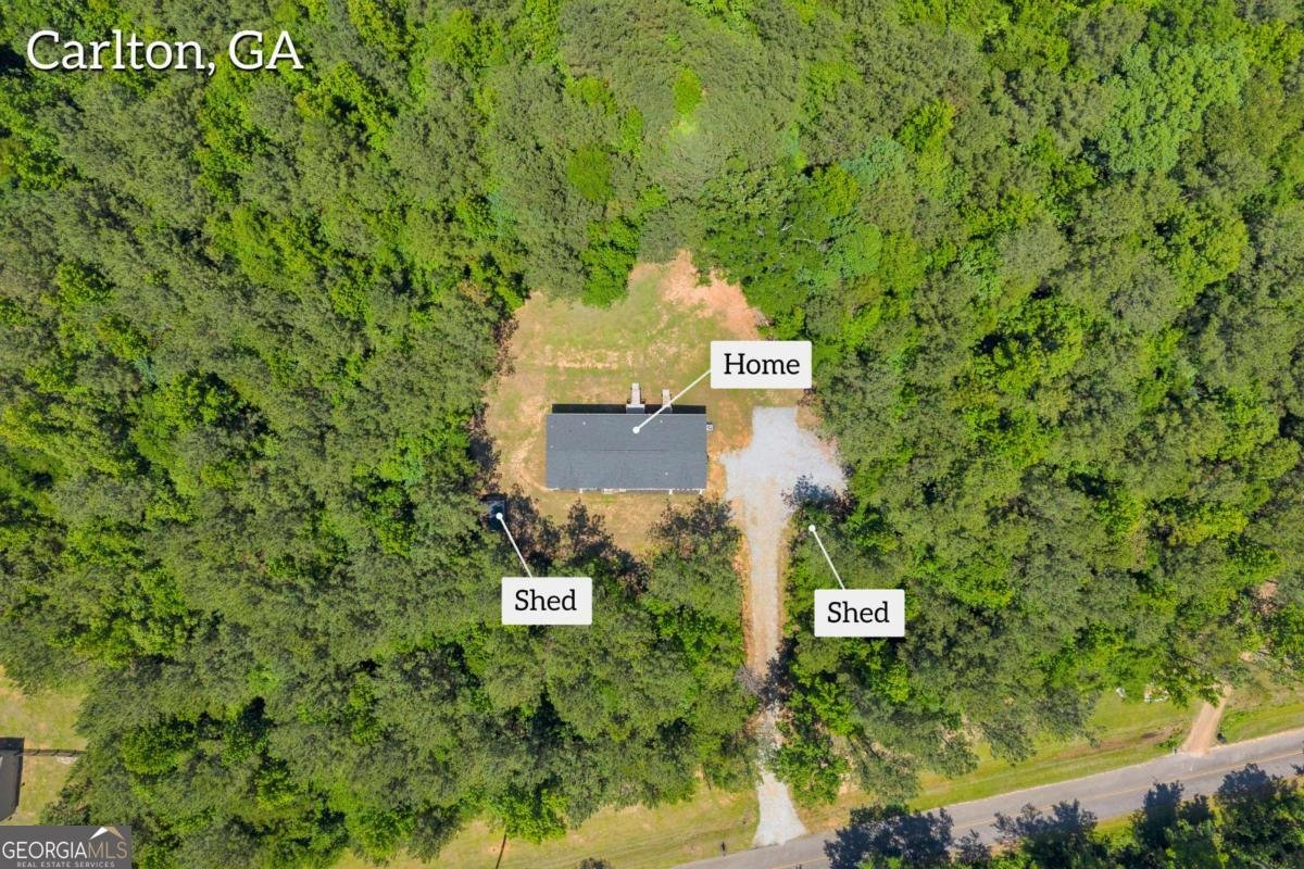 295 Berkeley Road Carlton - Photo 32