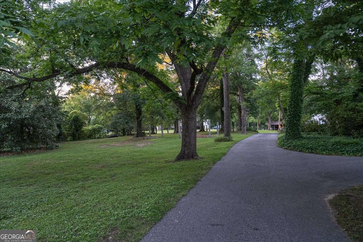 311 Church Street Lexington - Photo 50