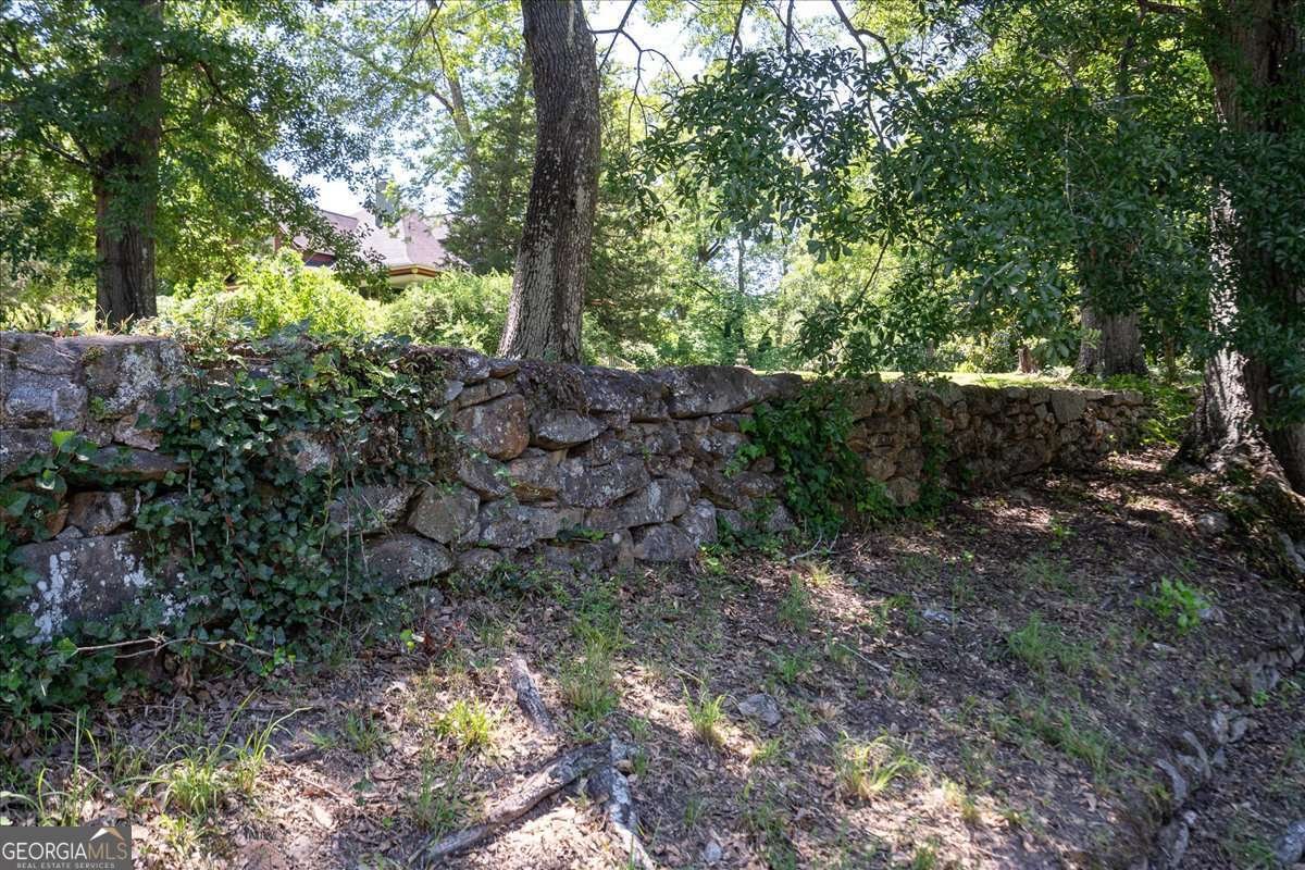 311 Church Street Lexington - Photo 59